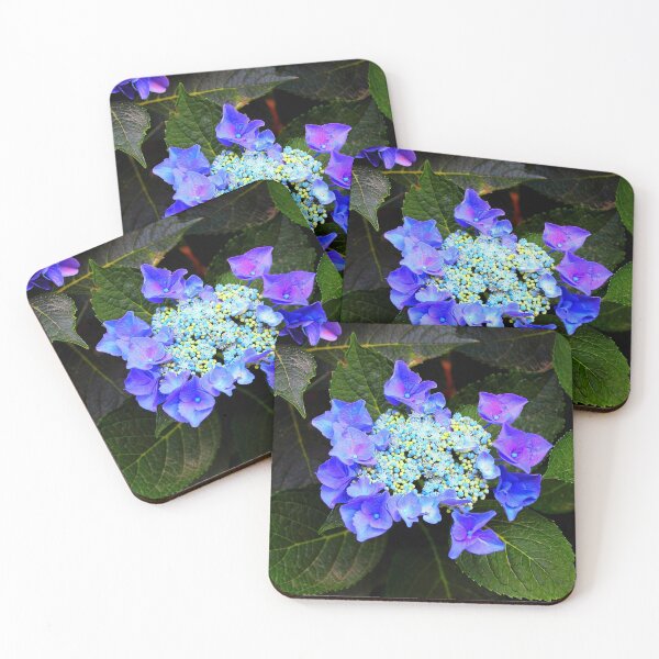 Item preview, Close-up of a hydrangea with blue buds and flowers as well as green foliage designed and sold by Kristina Drozd.