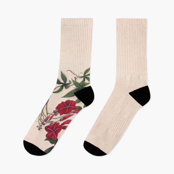 Item preview, Brazilian flowers drawn from nature in the years 1880 to 1882 in the neighbourhood of Rio de Janeiro E H Norton 023 designed and sold by WetdryvacRB01.