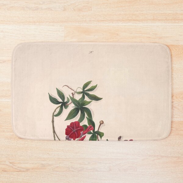 Item preview, Brazilian flowers drawn from nature in the years 1880 to 1882 in the neighbourhood of Rio de Janeiro E H Norton 023 designed and sold by WetdryvacRB01.