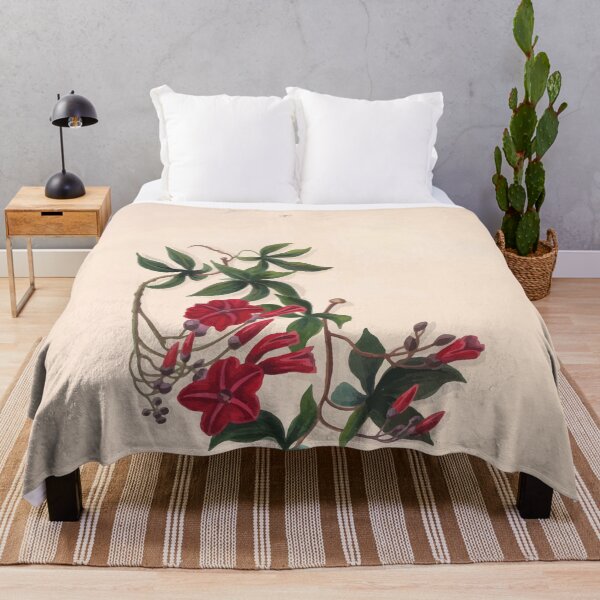 Item preview, Brazilian flowers drawn from nature in the years 1880 to 1882 in the neighbourhood of Rio de Janeiro E H Norton 023 designed and sold by WetdryvacRB01.