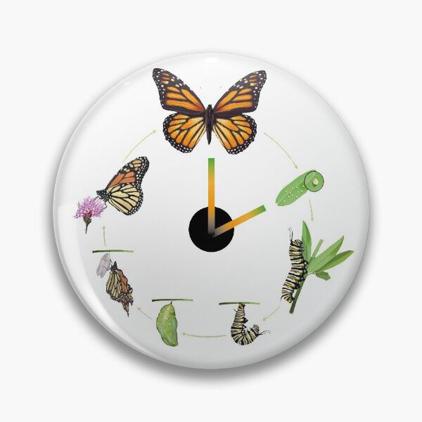 Aperçu de l'œuvre Horloge papillon de ver créée et vendue par Hoedus.