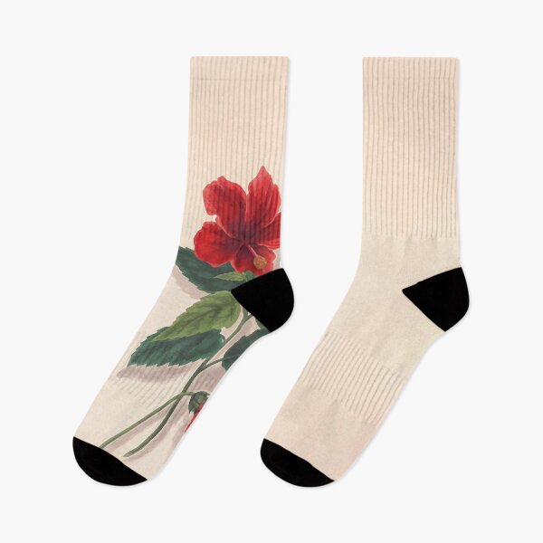 Item preview, Brazilian flowers drawn from nature in the years 1880 to 1882 in the neighbourhood of Rio de Janeiro E H Norton 024 designed and sold by WetdryvacRB01.