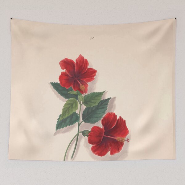 Item preview, Brazilian flowers drawn from nature in the years 1880 to 1882 in the neighbourhood of Rio de Janeiro E H Norton 024 designed and sold by WetdryvacRB01.