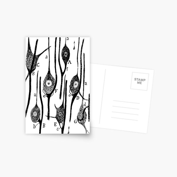 citología cervicovaginal