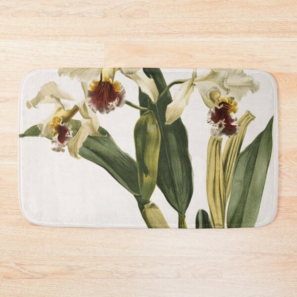 Item preview, Reichenbachia: Orchids Illustrated and Described designed and sold by EsotericBotanic.