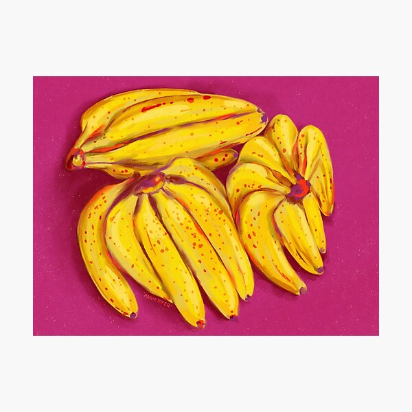 Three Banana Bunches Photographic Print