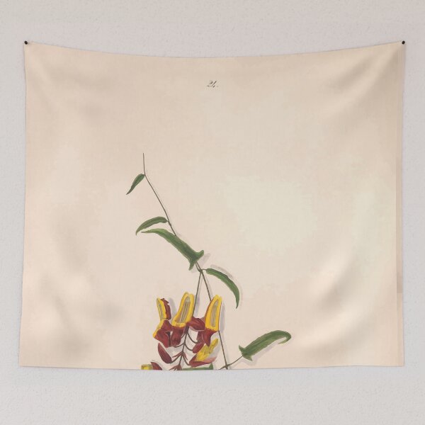 Item preview, Brazilian flowers drawn from nature in the years 1880 to 1882 in the neighbourhood of Rio de Janeiro E H Norton 027 designed and sold by WetdryvacRB01.
