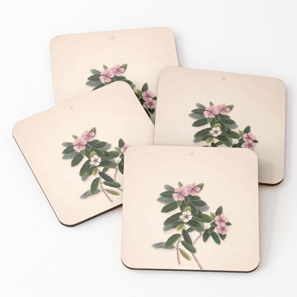 Item preview, Brazilian flowers drawn from nature in the years 1880 to 1882 in the neighbourhood of Rio de Janeiro E H Norton 028 designed and sold by WetdryvacRB01.