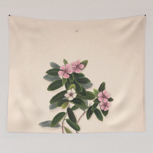 Item preview, Brazilian flowers drawn from nature in the years 1880 to 1882 in the neighbourhood of Rio de Janeiro E H Norton 028 designed and sold by WetdryvacRB01.