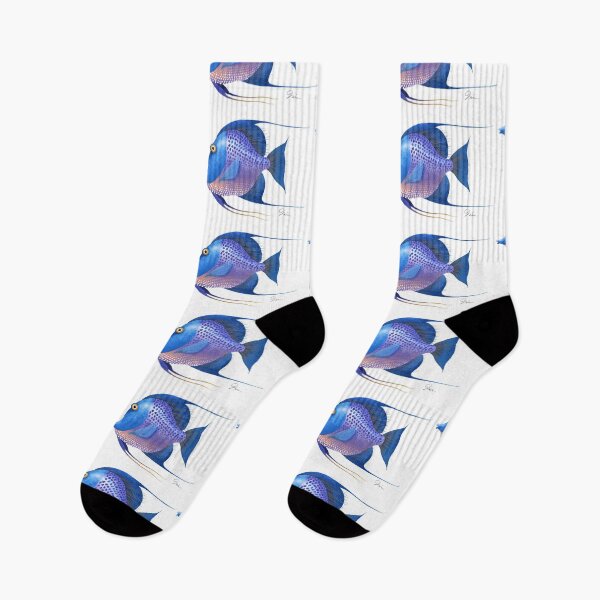 Item preview, Blue Purple Angel Fish designed and sold by TrevorIrvin.