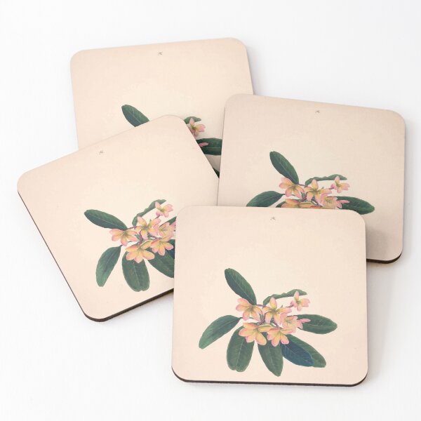 Item preview, Brazilian flowers drawn from nature in the years 1880 to 1882 in the neighbourhood of Rio de Janeiro E H Norton 029 designed and sold by WetdryvacRB01.