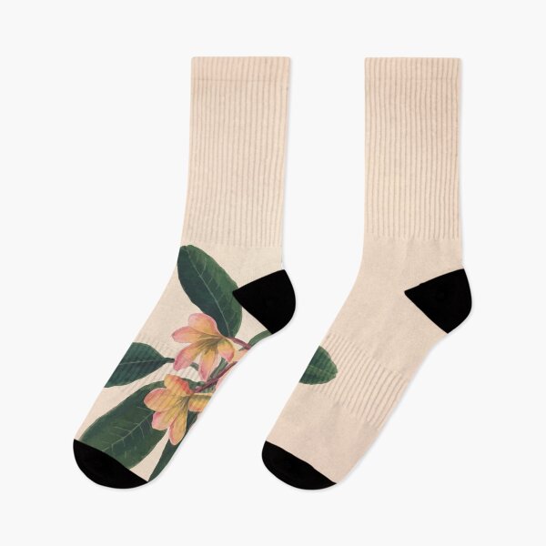 Item preview, Brazilian flowers drawn from nature in the years 1880 to 1882 in the neighbourhood of Rio de Janeiro E H Norton 029 designed and sold by WetdryvacRB01.