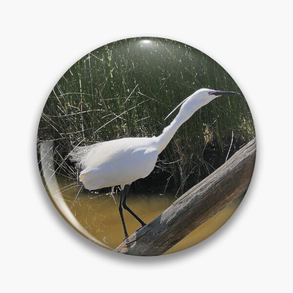 Item preview, r2424/ site ornithologique-du-teich - Aigrette garzette  2018 par Okaio Créations - Olavia-Olao     designed and sold by o.okaïo.