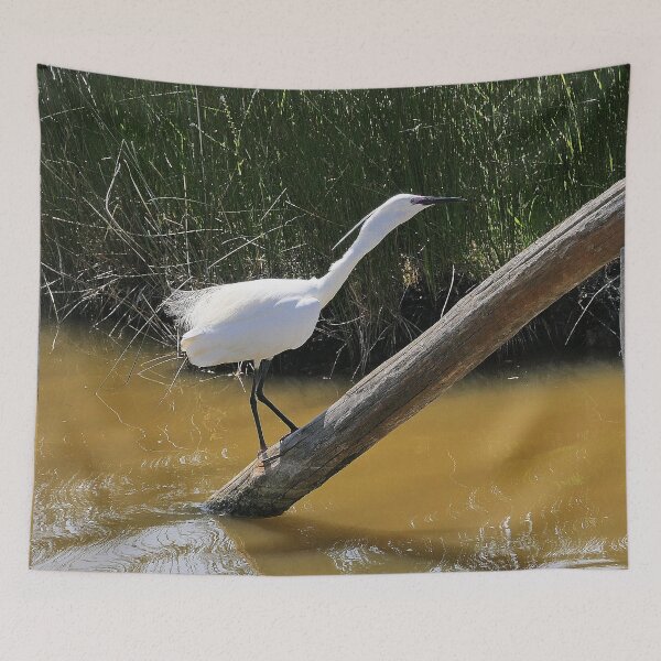 Item preview, r2424/ site ornithologique-du-teich - Aigrette garzette  2018 par Okaio Créations - Olavia-Olao     designed and sold by o.okaïo.