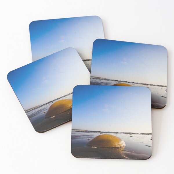 Item preview, Jellyfish on the Beach designed and sold by HalcyonPrints.