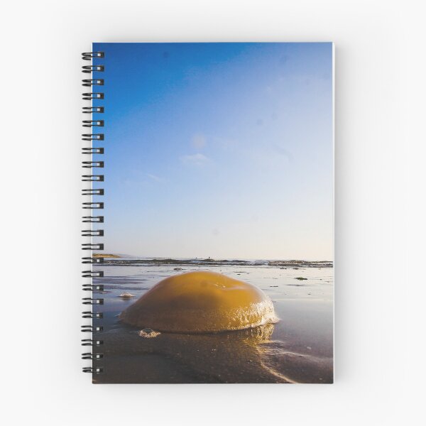 Item preview, Jellyfish on the Beach designed and sold by HalcyonPrints.