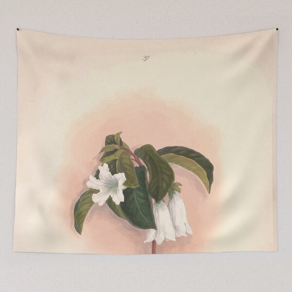 Item preview, Brazilian flowers drawn from nature in the years 1880 to 1882 in the neighbourhood of Rio de Janeiro E H Norton 030 designed and sold by WetdryvacRB01.