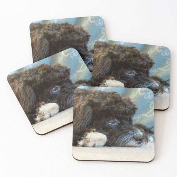 Item preview, Sleepy Cavapoo Puppy designed and sold by Jane Stanley Photography.