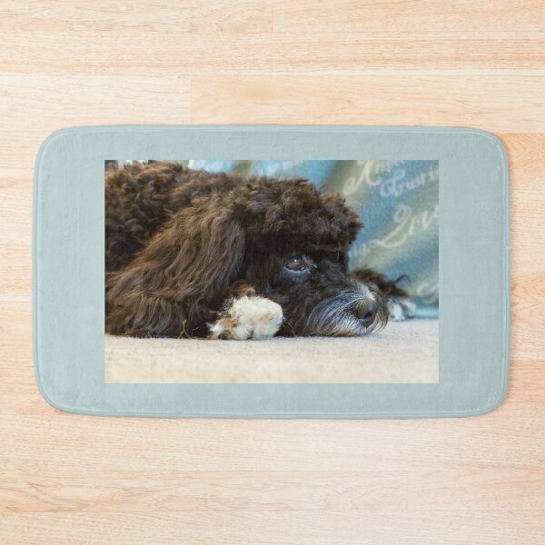 Item preview, Sleepy Cavapoo Puppy designed and sold by Jane Stanley Photography.