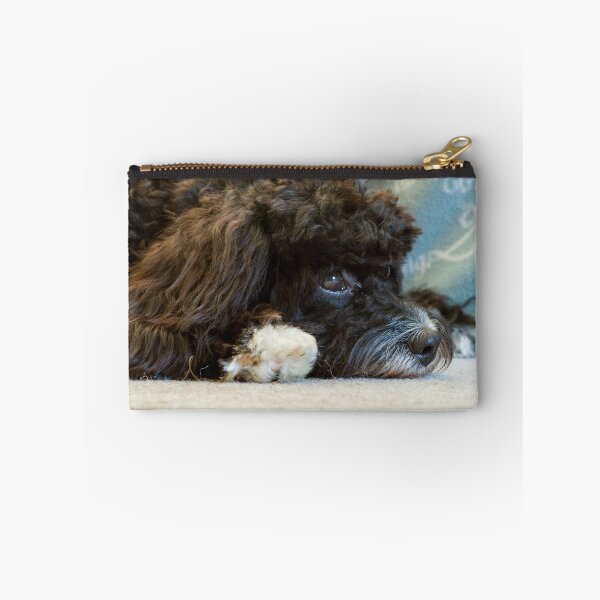 Item preview, Sleepy Cavapoo Puppy designed and sold by Jane Stanley Photography.