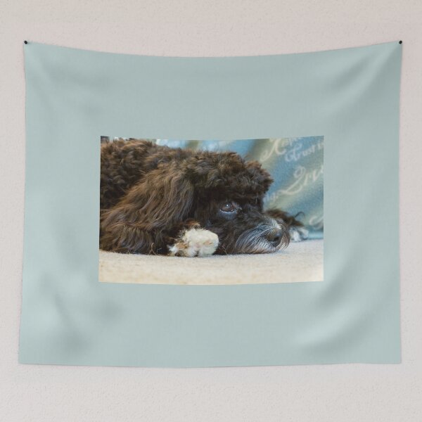 Item preview, Sleepy Cavapoo Puppy designed and sold by Jane Stanley Photography.