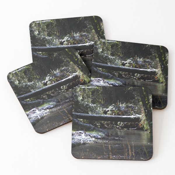 Item preview, snowy Oregon forest , Fox Creek 5 designed and sold by Dawna Morton.