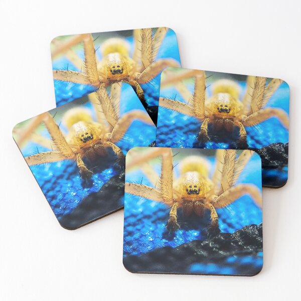 Item preview, Spider designed and sold by hk2001.