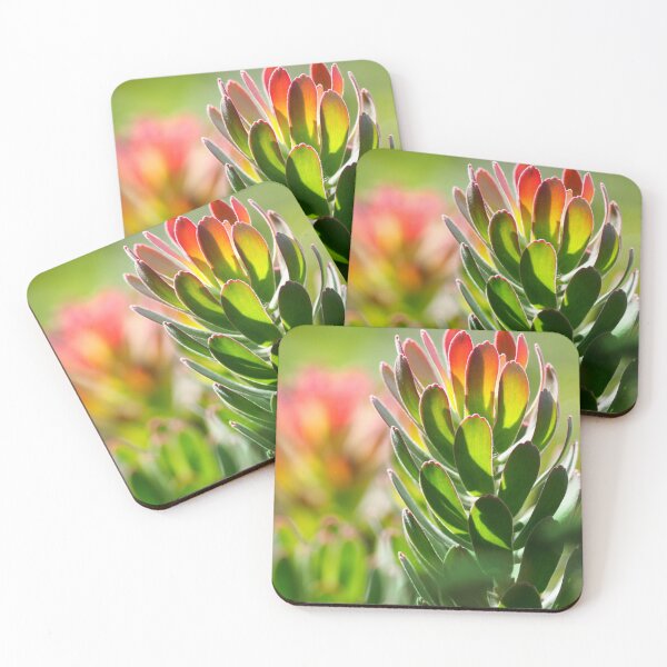Item preview, Cactus Blossom designed and sold by Moni3572.