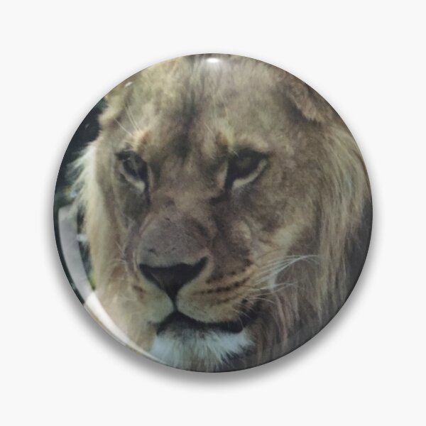 Aperçu de l'œuvre Un lion créée et vendue par DaneK49.