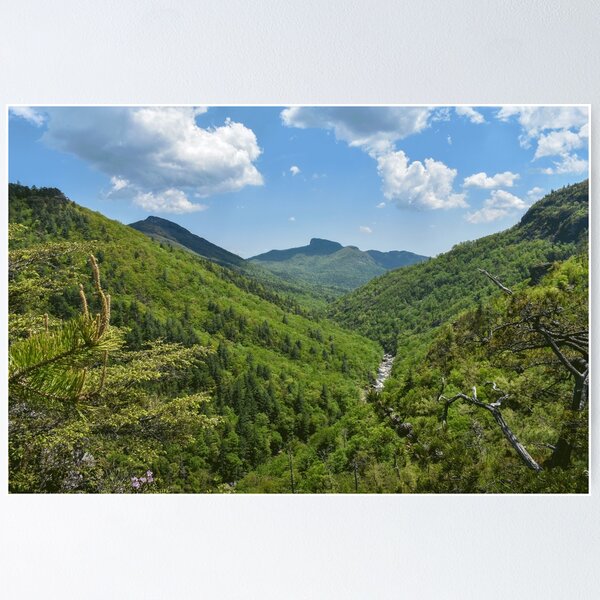 Item preview, Appalachian Mountain Gorge Canyon View designed and sold by mbarimo7.