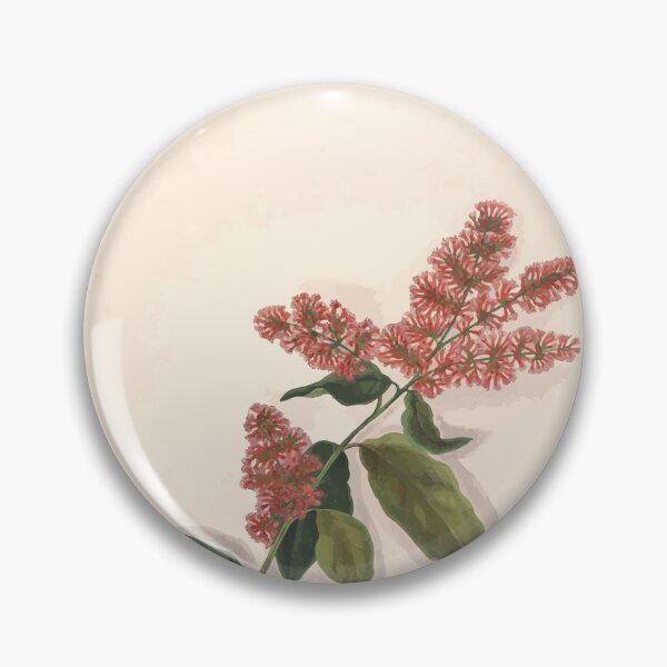 Item preview, Brazilian flowers drawn from nature in the years 1880 to 1882 in the neighbourhood of Rio de Janeiro E H Norton 033 designed and sold by WetdryvacRB01.