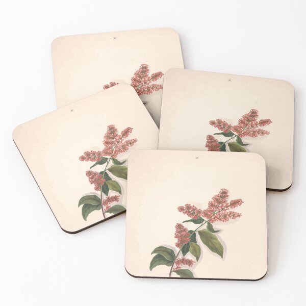 Item preview, Brazilian flowers drawn from nature in the years 1880 to 1882 in the neighbourhood of Rio de Janeiro E H Norton 033 designed and sold by WetdryvacRB01.