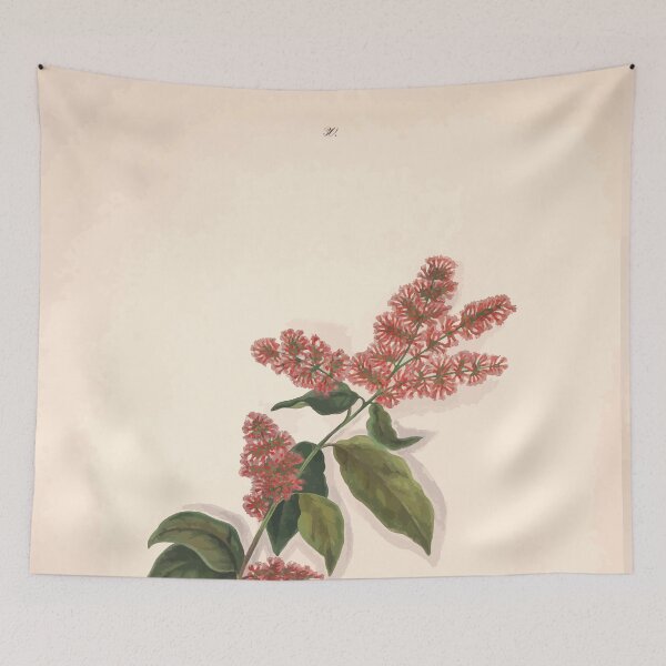 Item preview, Brazilian flowers drawn from nature in the years 1880 to 1882 in the neighbourhood of Rio de Janeiro E H Norton 033 designed and sold by WetdryvacRB01.