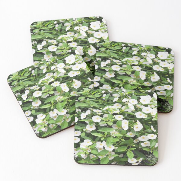 Item preview, Petunia Flowers with white petals and yellow centers - Cute Floral designed and sold by Vero De.