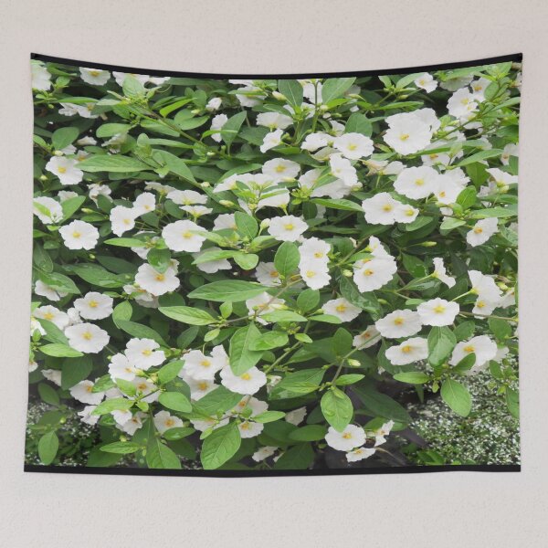 Item preview, Petunia Flowers with white petals and yellow centers - Cute Floral designed and sold by Vero De.