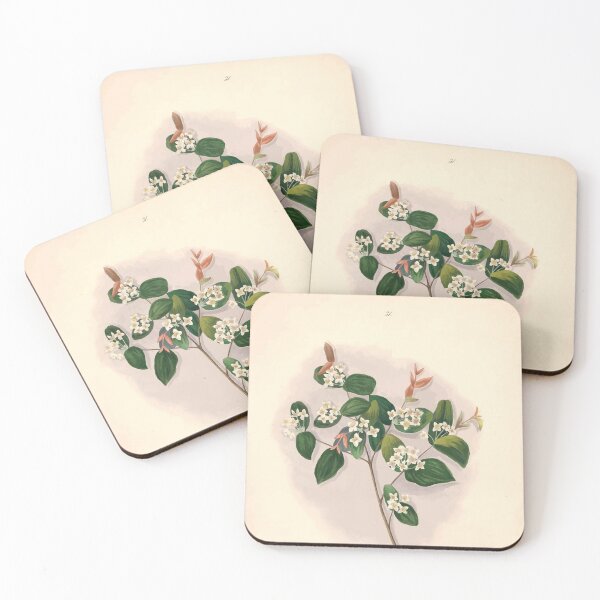 Item preview, Brazilian flowers drawn from nature in the years 1880 to 1882 in the neighbourhood of Rio de Janeiro E H Norton 034 designed and sold by WetdryvacRB01.