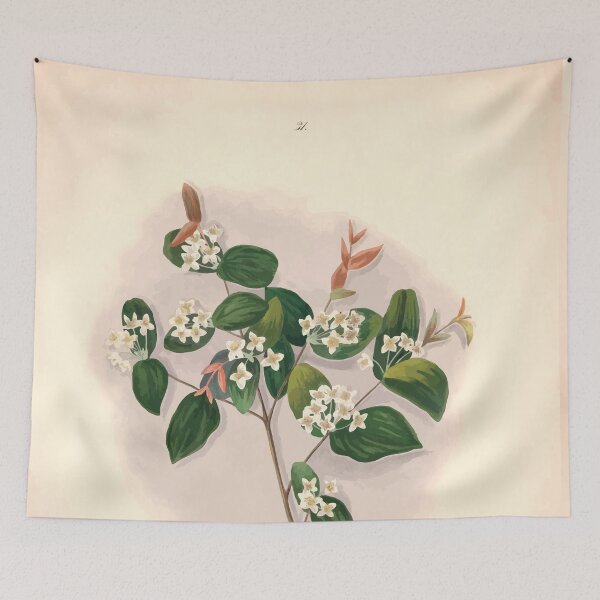 Item preview, Brazilian flowers drawn from nature in the years 1880 to 1882 in the neighbourhood of Rio de Janeiro E H Norton 034 designed and sold by WetdryvacRB01.