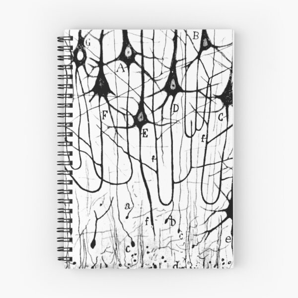 Item preview, Neuron Pyramidal Cells Drawing by Santiago Ramon Y Cajal designed and sold by ScienceSource.