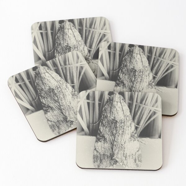 Item preview, © NS Moth Eyes IIA Monocromo. designed and sold by OmarHernandez.