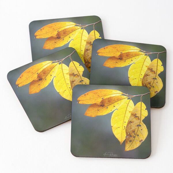 Item preview, Yellow leaves in the Rainforest designed and sold by DavePinsonPhoto.