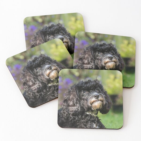 Item preview, Dreaming of Puppy Treats designed and sold by Jane Stanley Photography.