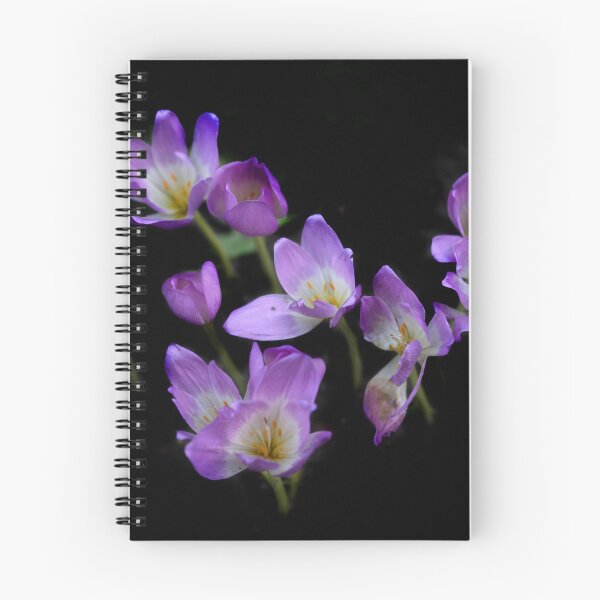 Item preview, Purple flowers on black background designed and sold by olena2552.