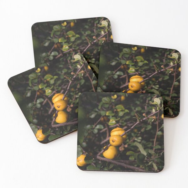 Item preview, Frutas designed and sold by FrenchyA.