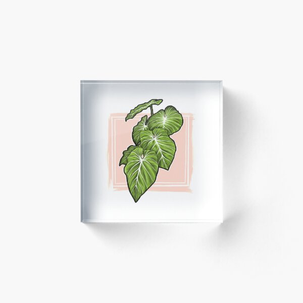 Philodendron Gloriosum Print Acrylic Block