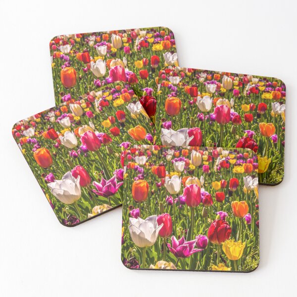 Item preview, Colourful Tulips at the Conservatory Gardens designed and sold by Steven Jodoin.