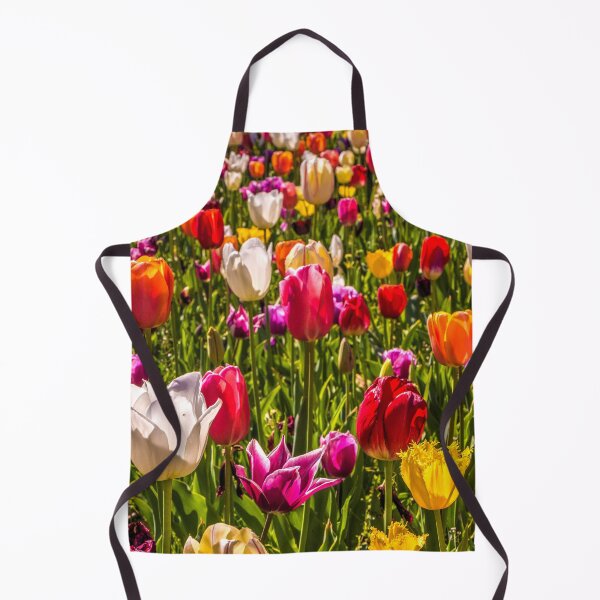 Item preview, Colourful Tulips at the Conservatory Gardens designed and sold by Steven Jodoin.