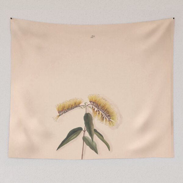 Item preview, Brazilian flowers drawn from nature in the years 1880 to 1882 in the neighbourhood of Rio de Janeiro E H Norton 035 designed and sold by WetdryvacRB01.