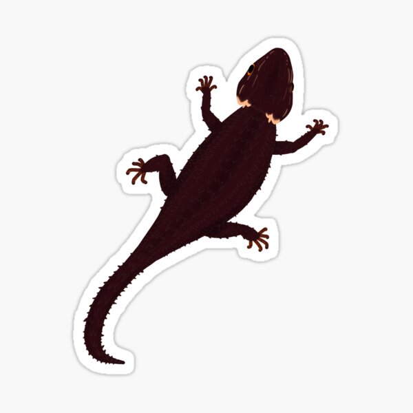 Item preview, Fang the Skink (top-down) designed and sold by Proxxy0.