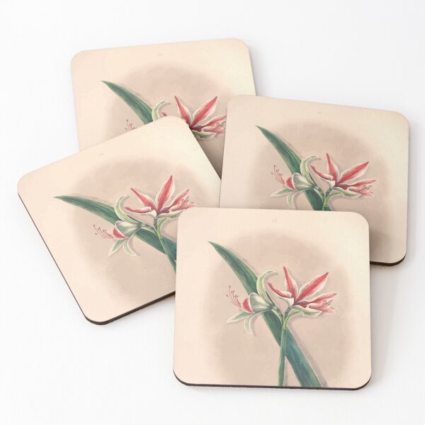 Item preview, Brazilian flowers drawn from nature in the years 1880 to 1882 in the neighbourhood of Rio de Janeiro E H Norton 036 designed and sold by WetdryvacRB01.