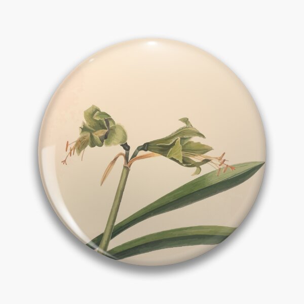 Item preview, Brazilian flowers drawn from nature in the years 1880 to 1882 in the neighbourhood of Rio de Janeiro E H Norton 037 designed and sold by WetdryvacRB01.